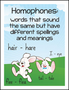 Homophone Rabbit Puzzles 2 image 4