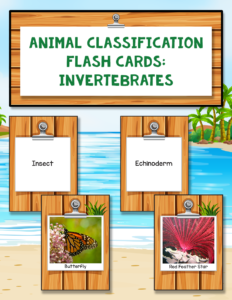 Animal Classification Flash Cards: Invertebrates